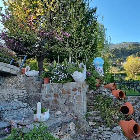 Quinta Do Ribeiro - - Serra Da Estrela * 科维良