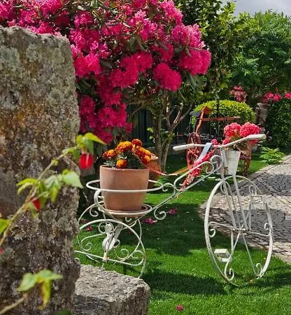 Quinta Do Ribeiro - - Serra Da Estrela 科维良