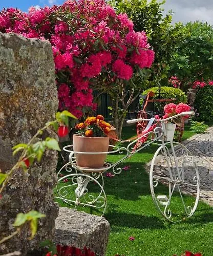 Quinta Do Ribeiro - - Serra Da Estrela Ковильян